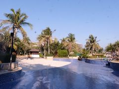 -采粤轩中餐厅(惠州金海湾喜来登度假酒店)