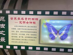 -上海昆虫博物馆