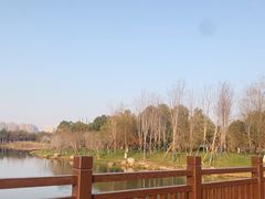 -洋湖国家湿地公园