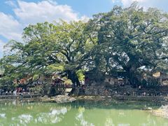 -南靖田螺坑土楼群景区