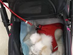-美联众合动物医院·24h转诊中心
