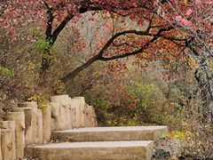 -北京西山国家森林公园