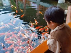 -香麒园·过桥米线·南湖雅宴
