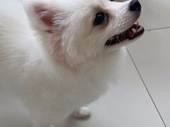 -怪兽屋·羊驼·猫咖·狗咖(俊华广场店)