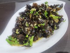 -七裕庄(凯旋南路店)