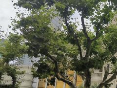 -大光明电影院(南京西路店)