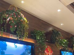 -新侨小馆(东直门北小街店)