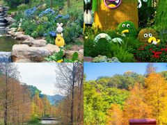 -云溪植物园