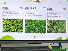 -嘉北郊野公园