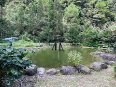 -白云源风景区