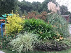 -昆山城市生态森林公园