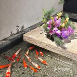 夏天的仪式感从这顿胡大小龙虾开始🤗