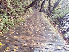 -叠溪松坪沟景区