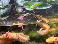 -多彩贵州城极地海洋世界