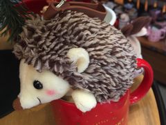 -星巴克臻选(成都宽窄巷子店)