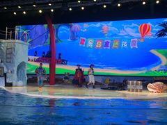 -三亚海昌梦幻海洋不夜城