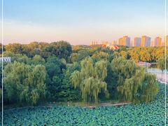 -乙十六·湖景