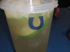 -春丽小马(济南恒隆广场店)