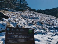-黄山风景区