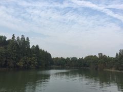 -东湖落雁景区