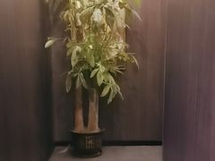 -鹿栖(佛山季华园店)