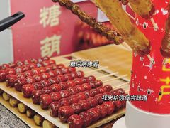 -和禄德冰糖葫芦