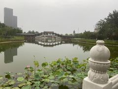 -西海子公园