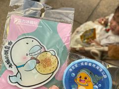 -海合安成都极地海洋公园
