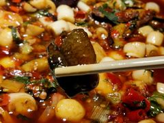 -院8里·小聚园老川菜(九眼桥店)