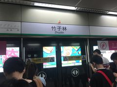 -竹子林(地铁站)