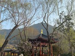 -华清宫景区