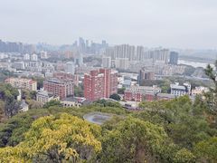 -福道