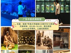 -广东中医药博物馆