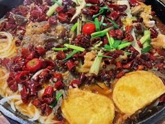 老板恋上鱼-老板恋上鱼(高新万达店)