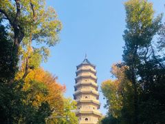 -灵谷景区