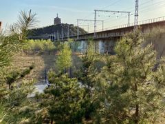 -永定河休闲森林公园