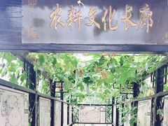 -上海都市菜园