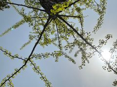 -上海吴淞炮台湾国家湿地公园