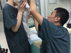 -康乐宝动物医院