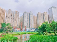 -花果园湿地公园