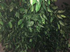 -龙悦·澜泊湾SPA养生中心