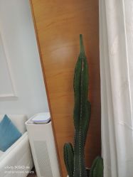 -HEYAN荷妍专业脱毛连锁机构