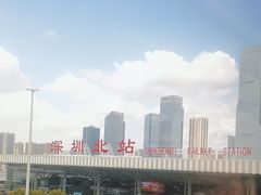 -维也纳国际酒店·深圳北站店