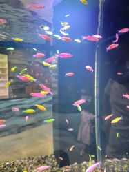 -酷嗒动物文化乐园(cutezoo西溪乐天城店)