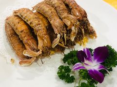 濑尿虾-蚝专家(北滘店)