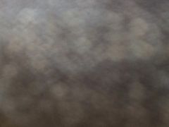 -黄阿姨锅贴大王(万航渡路店)