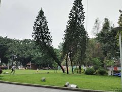 -荔湾湖公园