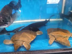 -华盛丰温州大排档(东三环南路店)