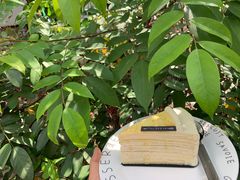 -小半有礼(天河南店)