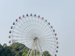 -温州乐园